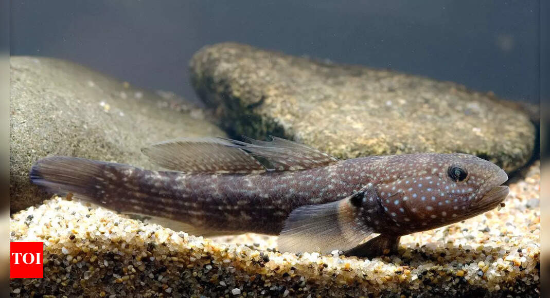 7 Surprising Facts About Nathan Fish That Will Change How You See His Influence