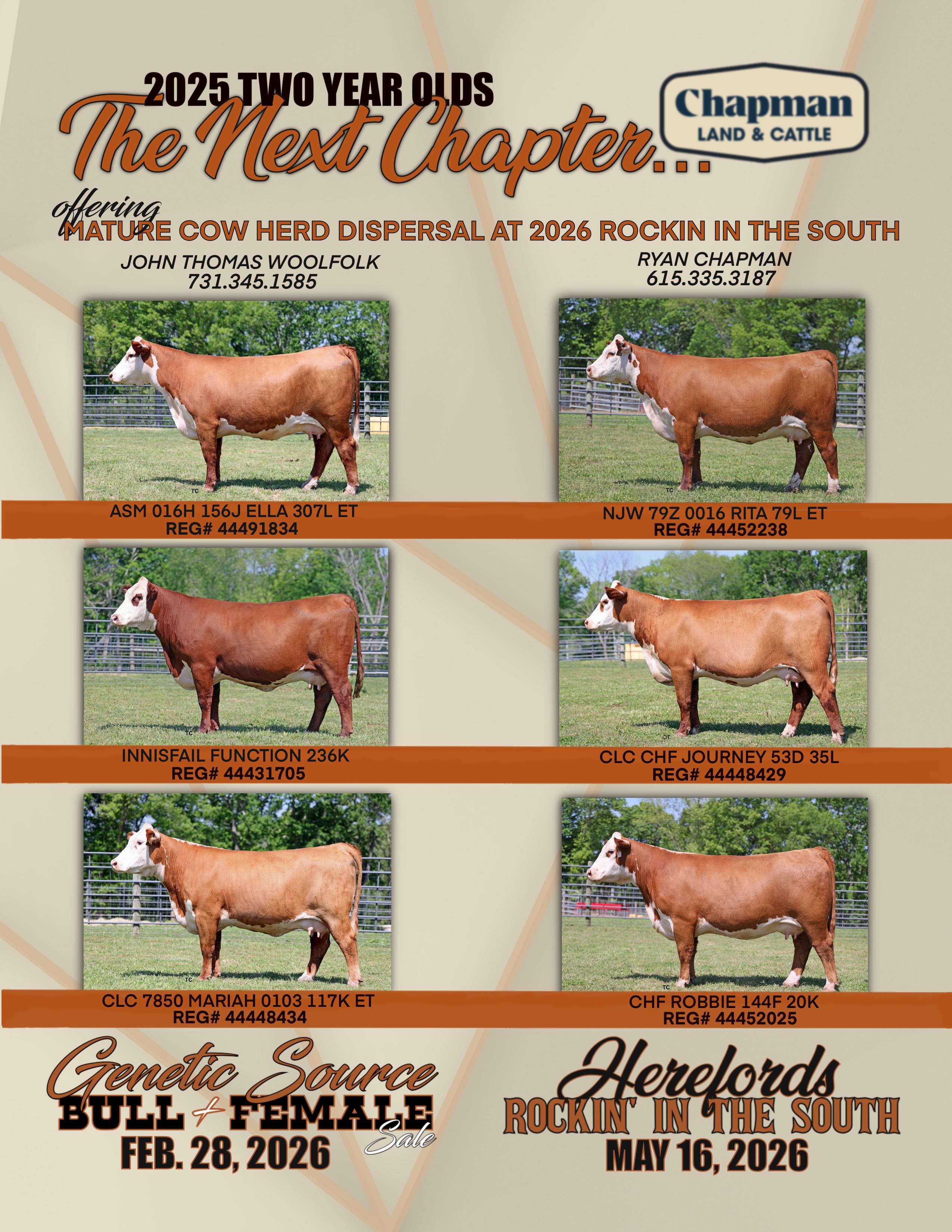 7 Expert Secrets to Elevate Your Career Using Jake Donnelly’s Winning Strategies