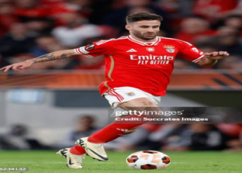 7 Expert Insights to Understand Estrela Amadora vs Benfica Standings for the 2024 Season