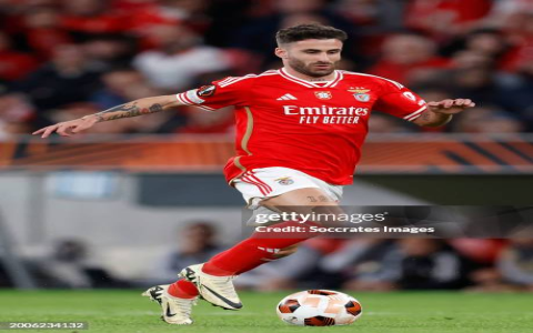 7 Expert Insights to Understand Estrela Amadora vs Benfica Standings for the 2024 Season