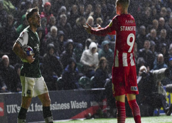 7 Expert Strategies to Master plymouth argyle vs watford f.c. standings and Boost Your Football Insights
