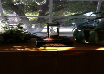 7 Expert Secrets of Itamar Gero: How This SEO Authority Built a Global Digital Empire