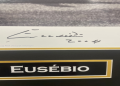 7 Expert Insights About Eusebio Kit Number: The Ultimate Guide for Football Memorabilia Fans