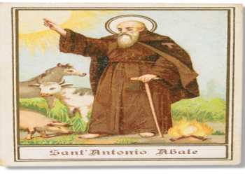 7 Expert Secrets About S Antonio Abate: Ultimate Guide to Its History, Traditions, and Celebrations