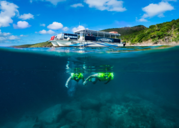 7 Surprising Facts About Saint Kitts and Nevis vs Cayman Islands – The Ultimate Comparison You Need Before Your Next Adventure