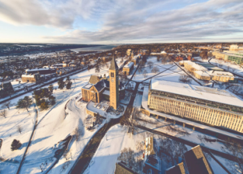 7 Expert Secrets to Elevate Your Career Using Jake Donnelly’s Winning Strategies