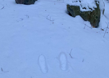 7 Expert Secrets to Choosing the Best Alarmanlagen Dortmund for Total Peace of Mind