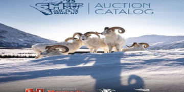 7 Expert Secrets for Accurate Leon vs Monterrey Prediction: The Ultimate 2024 Guide