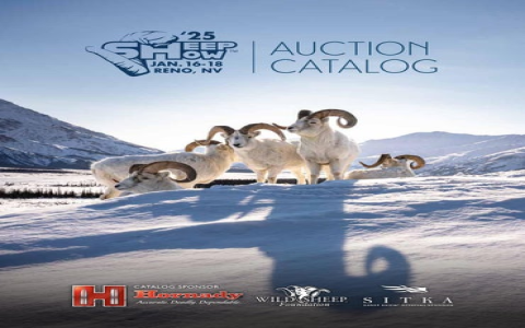 7 Expert Secrets for Accurate Leon vs Monterrey Prediction: The Ultimate 2024 Guide