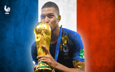 7 Secrets of the France Football Team 2006: Expert Analysis, Data, and Lessons for Fans