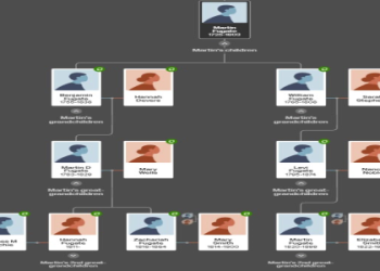 7 Expert Insights Into the suarez surname: Origins, Legacy, and Practical Family Guide