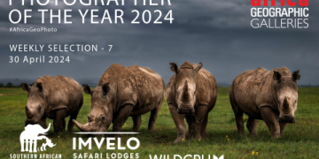 7 Expert Strategies to Discover Dan Skipper Net Worth in 2024 (Plus Shocking Facts Players Won’t Tell You)