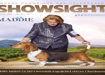 7 Expert Secrets to Elevate Your Career: The Terry Benjamin Blueprint Every Professional Needs