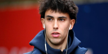 7 Expert Secrets About Lucas Araujo That Will Transform Your Understanding