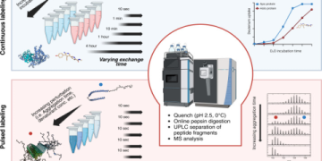 7 Expert-Approved Secrets To Boost Your Career With Michael Leitner’s Strategies