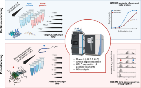 7 Expert-Approved Secrets To Boost Your Career With Michael Leitner’s Strategies