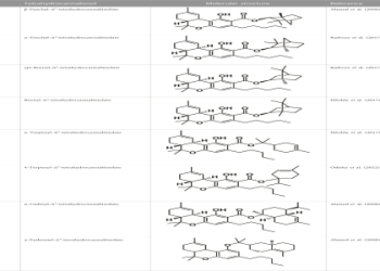 7 SECRET STRATEGIES AND INSIDER FACTS ABOUT ANDRES MALDONADO: THE ULTIMATE GUIDE FOR 2024