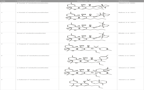 7 SECRET STRATEGIES AND INSIDER FACTS ABOUT ANDRES MALDONADO: THE ULTIMATE GUIDE FOR 2024