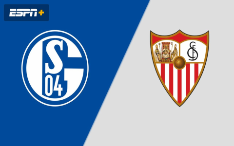 7 Expert Secrets to Buying Schalke 04 Tickets Fast and Securely