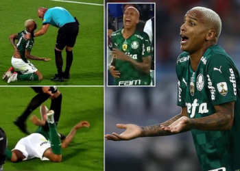 7 Surprising Flamengo vs Palmeiras Stats That Every Soccer Fan Must Know