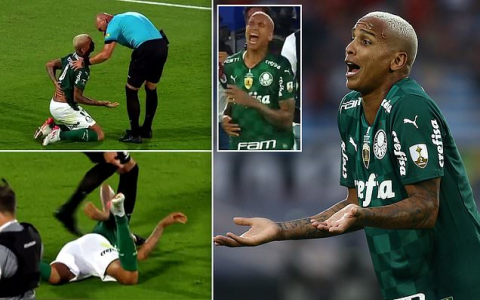 7 Surprising Flamengo vs Palmeiras Stats That Every Soccer Fan Must Know