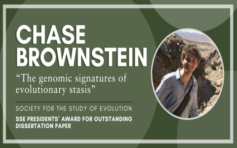 7 Expert Secrets to Elevate Your Career with Jose Corrales: The Ultimate Guide for Success