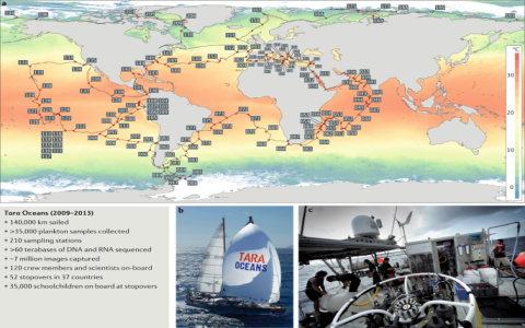 7 Essential Insights from the Ultimate Map of English Soccer Clubs (Expert Guide)