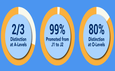 7 Expert Tips for Unlocking the Full Potential of Chun Li Telegram Groups