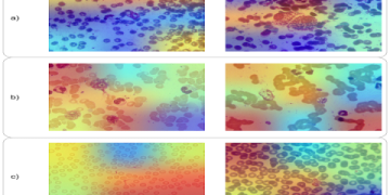 10 Expert Insights About Adam Zakaria: The Ultimate Guide to Success and Strategy