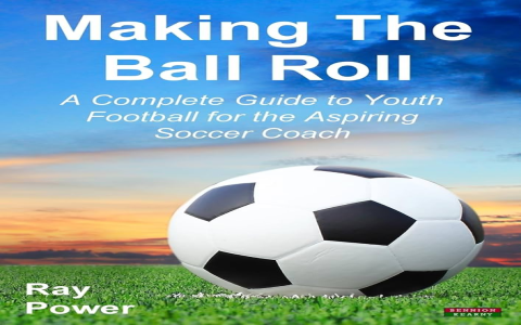 7 Expert Secrets to Choosing the Perfect Al Nassr Soccer Ball: Complete Guide, Tips & Buyer Checklist