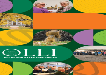 7 Secrets Behind the Ultimate Argentina Formation 2024: Tactics, Lineup Guide, and Common Mistakes